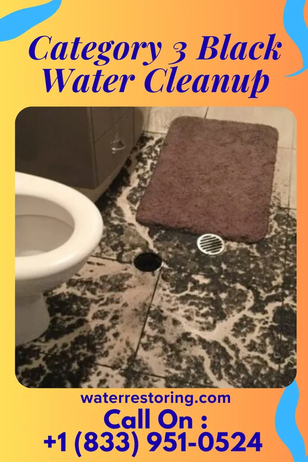 Category 3 Black Water Cleanup in Edinburg, TX