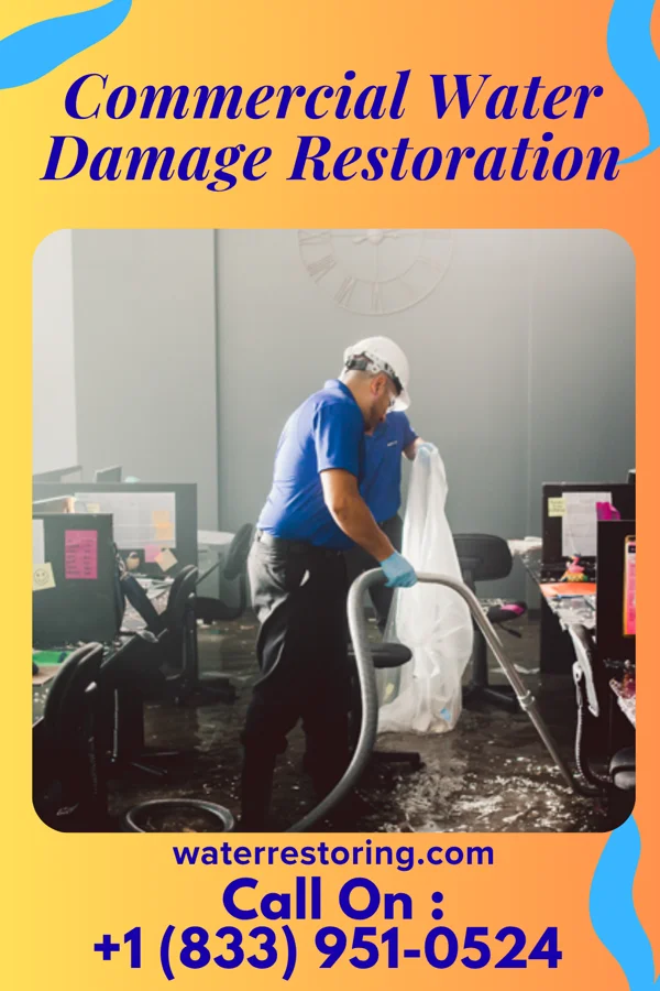 Commercial Water Damage Restoration in Edinburg, TX